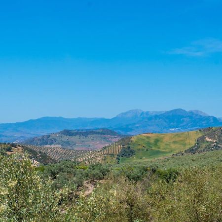 Vila Alma Del Tejar Antequera La Higuera By Ruralidays Exteriér fotografie