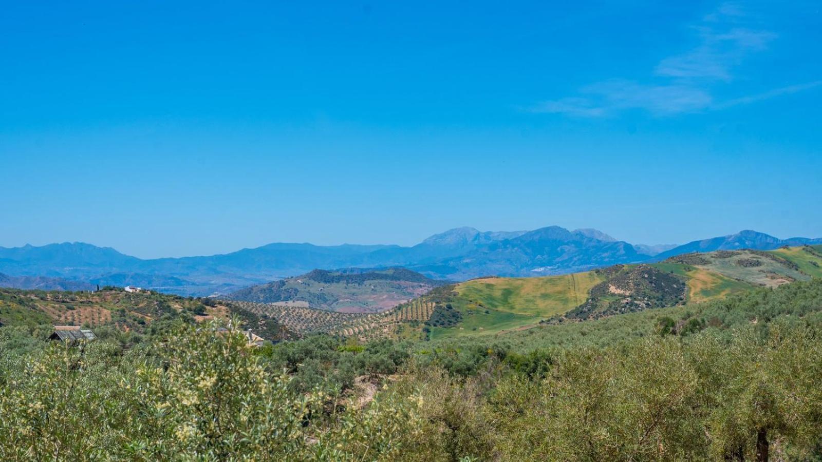 Vila Alma Del Tejar Antequera La Higuera By Ruralidays Exteriér fotografie